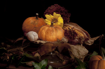 Картинка еда овощи снедь