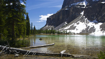 Картинка природа реки озера горы лес