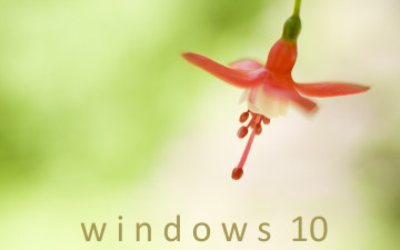 Картинка компьютеры windows++10 фон логотип