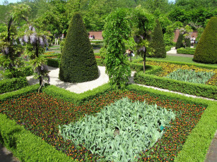 Картинка природа парк клумбы