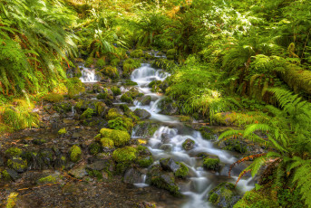 Картинка природа реки озера простор