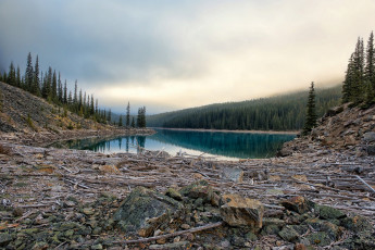 Картинка природа пейзажи простор