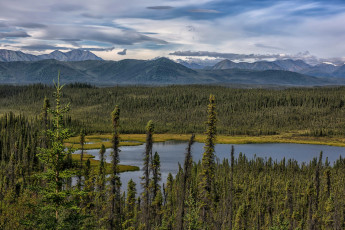 Картинка природа реки озера простор