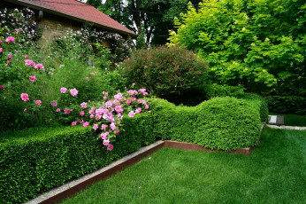 Картинка природа парк деревья лужайка