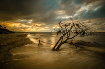 Картинка природа побережье простор