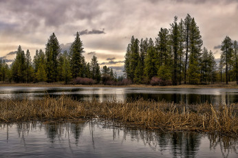 Картинка природа реки озера простор