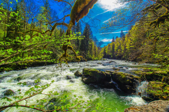 Картинка природа реки озера простор