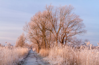 Картинка природа зима простор