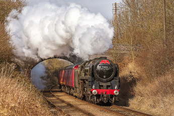 Картинка техника паровозы локомотив состав