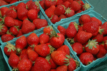 Картинка еда клубника +земляника ягоды