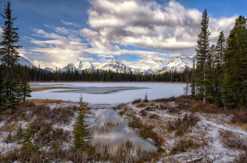 Картинка природа реки озера простор