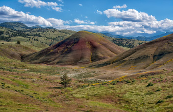 Картинка природа пейзажи простор