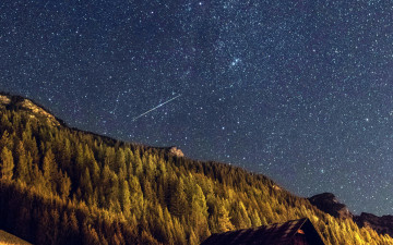 Картинка природа лес небо звездное ночь