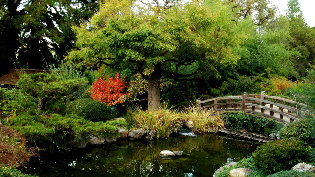 Обои картинки фото природа, парк, водоем, мостик