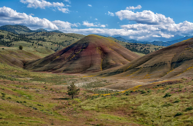 Обои картинки фото природа, пейзажи, простор