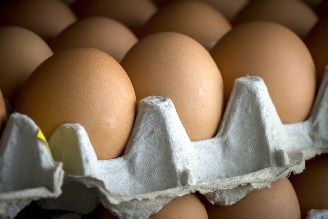 Обои картинки фото еда, Яйца, макро