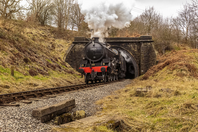 Обои картинки фото техника, паровозы, состав, локомотив