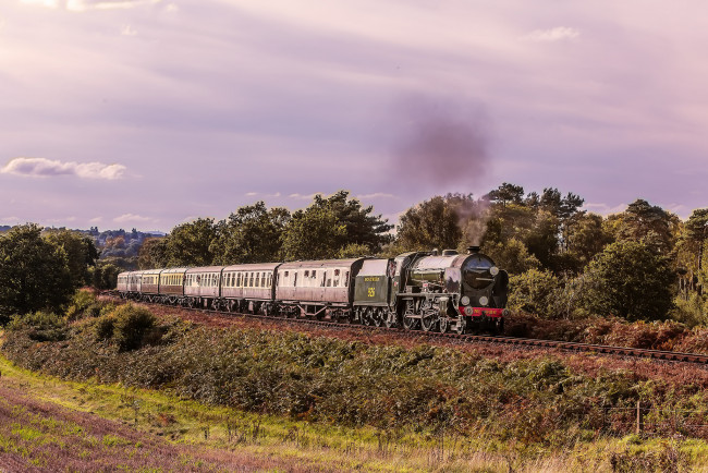 Обои картинки фото техника, паровозы, состав, локомотив