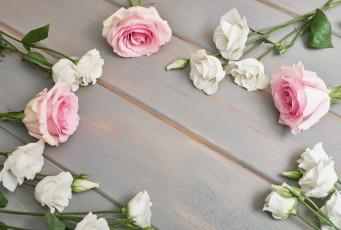 Картинка цветы разные+вместе фон розы эустомы