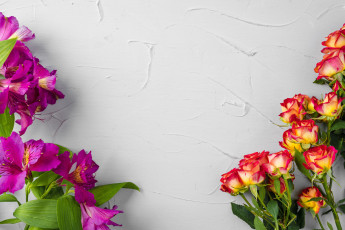 Картинка цветы разные+вместе альстамерия розы фон