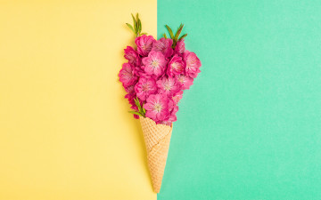 Картинка цветы сакура +вишня розовые рожок персик вафельный