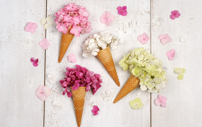 Обои картинки фото цветы, гортензия, белый, фон, рожок, wood, вафельный