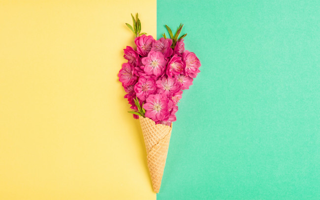 Обои картинки фото цветы, сакура,  вишня, розовые, рожок, персик, вафельный