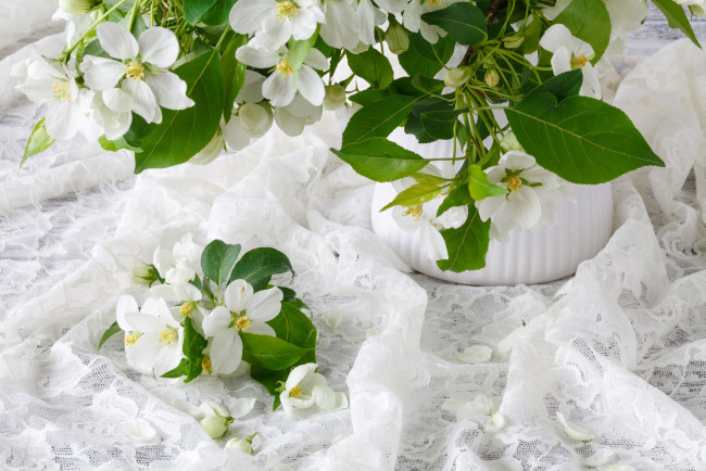 Обои картинки фото цветы, жасмин, букет, весна, ваза