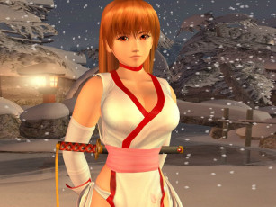 Картинка dead or alive ultimate видео игры