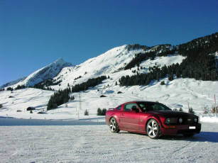 Картинка автомобили ford