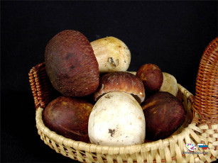 Картинка еда грибы грибные блюда