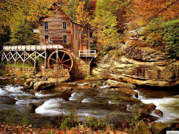 Обои картинки фото 