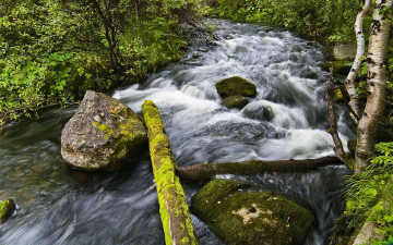 Картинка природа реки озера