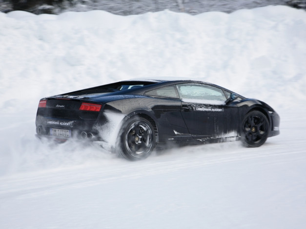 Обои картинки фото автомобили, lamborghini