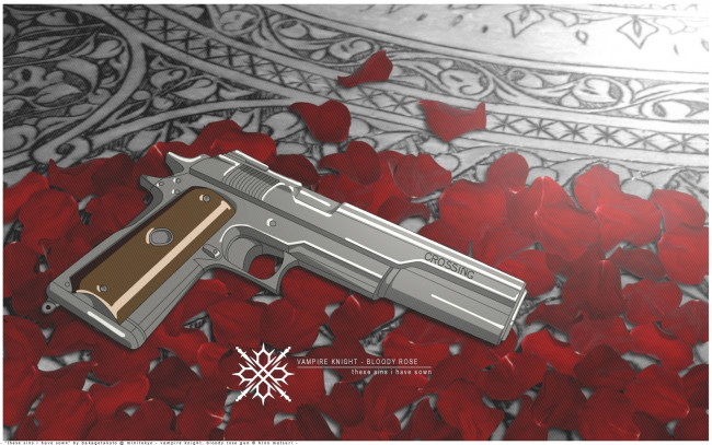 Обои картинки фото аниме, vampire, knight