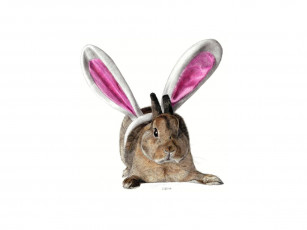 Картинка рисованные животные