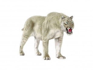 Картинка рисованные животные