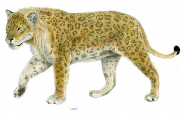 Картинка рисованные животные