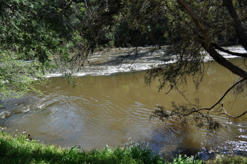Картинка природа реки озера yarra river