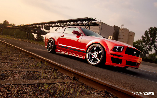 Обои картинки фото автомобили, mustang, auto