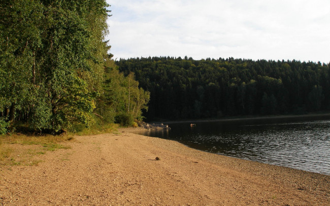 Обои картинки фото природа, побережье, река, лес, песок, берег