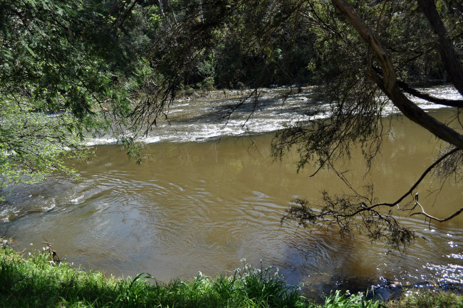 Обои картинки фото природа, реки, озера, yarra, river