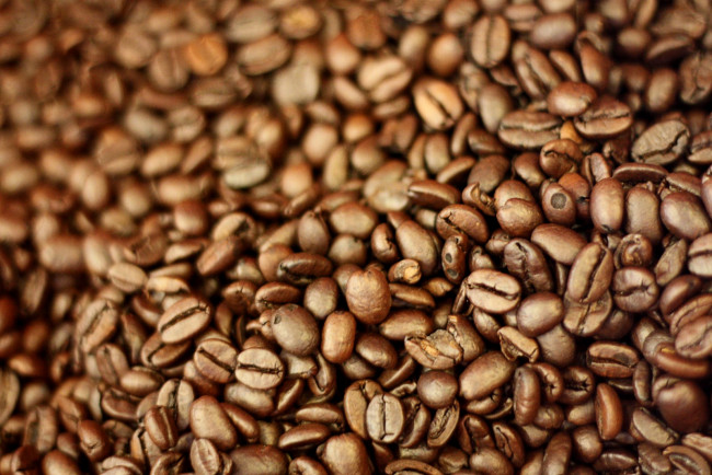 Обои картинки фото еда, кофе, кофейные, зёрна, зерна, коричневый