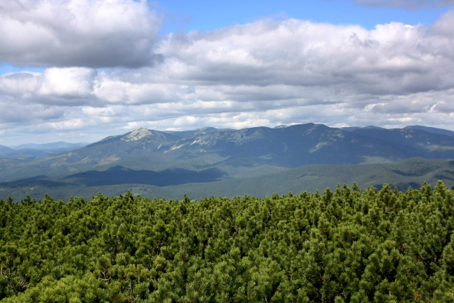 Обои картинки фото природа, горы, украина, закарпатье, г, , горгани