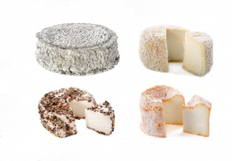 Картинка еда сырные изделия сыр