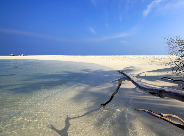 Обои картинки фото природа, побережье, пляж, океан, кристальная, вода