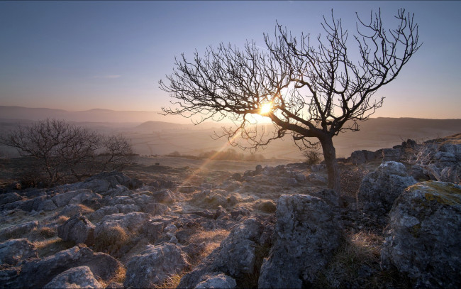 Обои картинки фото природа, восходы, закаты, холмы, камни, трава, деревья