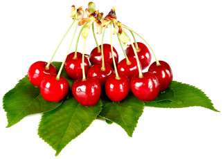 Картинка еда вишня +черешня вишни