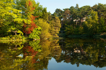 Картинка ботанический+сад+копенгаген+дания природа парк дания копенгаген сад ботанический кусты пруд деревья