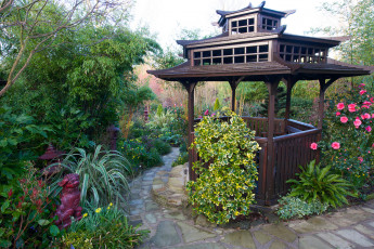 Картинка природа парк растительность беседка